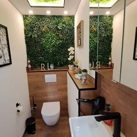 Appartment-ferienwohnung Mit Kueche, Bad, Wlan, Klimaanlage, Modern Eingerichtet Roding