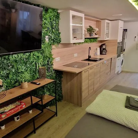 Appartment-ferienwohnung Mit Kueche, Bad, Kostenlos Wlan, Modern Eingerichtet Гостевой дом Родинг