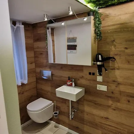 Appartment-ferienwohnung Mit Kueche, Bad, Wlan, Klimaanlage, Modern Eingerichtet Casa de hóspedes Roding