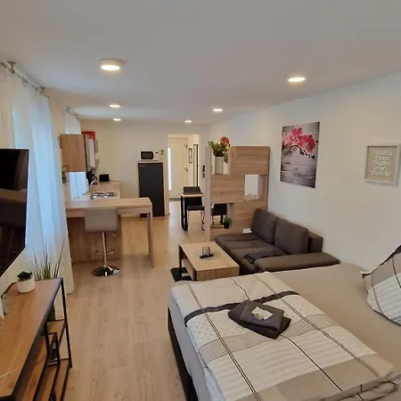 Appartment-ferienwohnung Mit Kueche, Bad, Wlan, Klimaanlage, Modern Eingerichtet 4* Roding