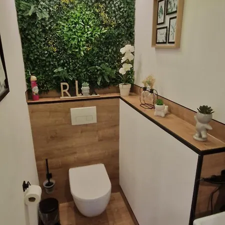 Appartment-ferienwohnung Mit Kueche, Bad, Kostenlos Wlan, Modern Eingerichtet Guest house