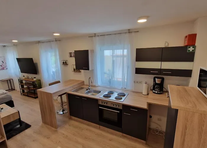 Appartment-ferienwohnung Mit Kueche, Bad, Wlan, Klimaanlage, Modern Eingerichtet Maison d'hôtes Roding