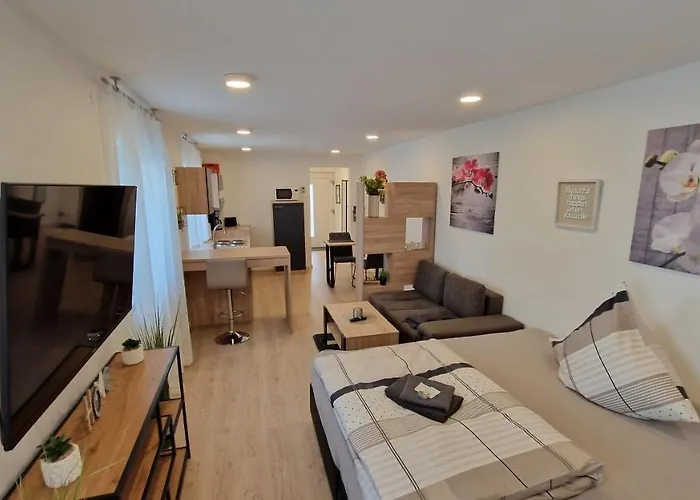 Appartment-ferienwohnung Mit Kueche, Bad, Wlan, Klimaanlage, Modern Eingerichtet 4* Roding