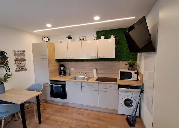 Maison d'hôtes Appartment-ferienwohnung Mit Kueche, Bad, Wlan, Klimaanlage, Modern Eingerichtet Roding