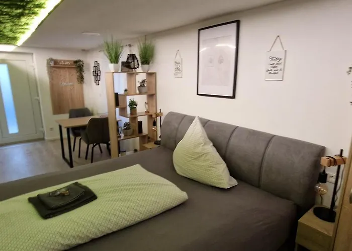 Appartment-ferienwohnung Mit Kueche, Bad, Wlan, Klimaanlage, Modern Eingerichtet 4* Roding