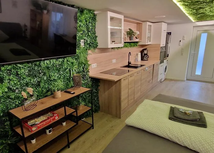 Appartment-ferienwohnung Mit Kueche, Bad, Wlan, Klimaanlage, Modern Eingerichtet Maison d'hôtes Roding