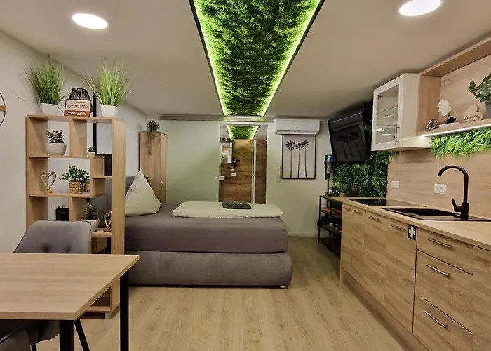 Appartment-ferienwohnung Mit Kueche, Bad, Wlan, Klimaanlage, Modern Eingerichtet Maison d'hôtes Roding